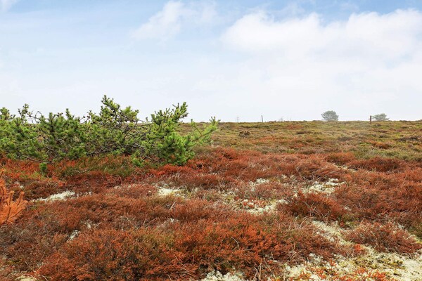 Foto van 6 persoons vakantie huis in Læsø - Vakantiehuis in Læsø - View