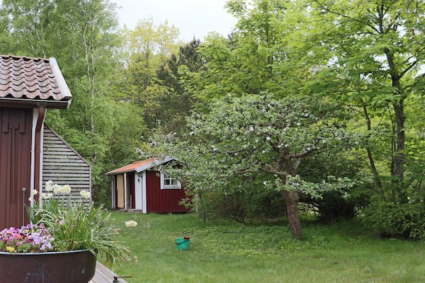 Foto van 12 persoons vakantie huis in Haverdal - Vakantiehuis in Haverdal - Outdoor