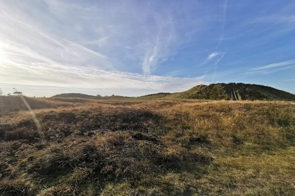 Foto van 16 persoons vakantie huis in Rømø - Vakantiehuis in Rømø - View