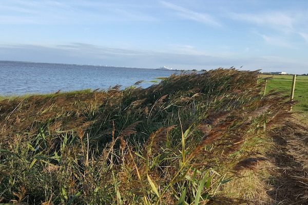 Foto van 16 persoons vakantie huis in Rømø - Vakantiehuis in Rømø - View