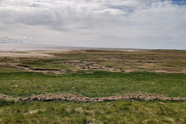 Foto van 16 persoons vakantie huis in Rømø - Vakantiehuis in Rømø - View