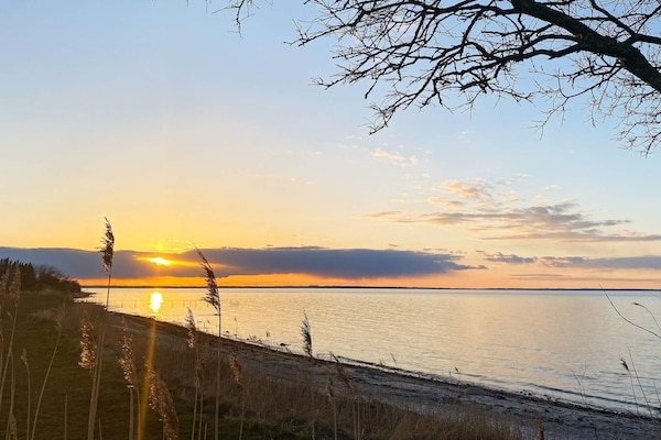 Foto van 12 persoons vakantie huis in Nordborg - Vakantiehuis in Nordborg - WaterView