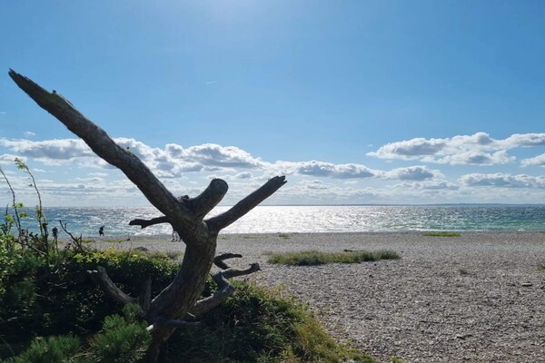 Foto van 6 persoons vakantie huis in Knebel - Vakantiehuis in Knebel - WaterView
