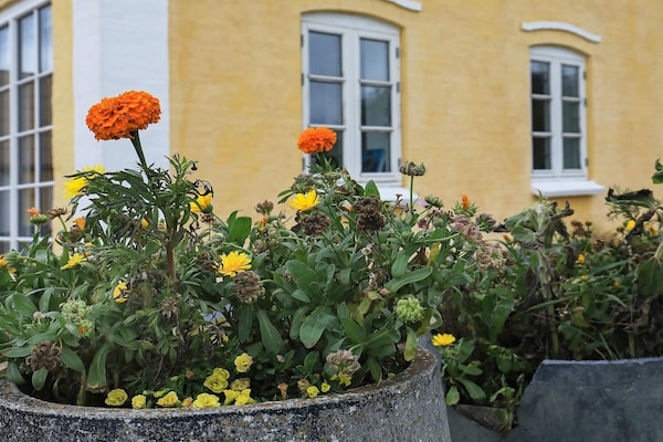 Foto van 16 persoons vakantie huis in Nykøbing M - Vakantiehuis in Nykøbing M - View
