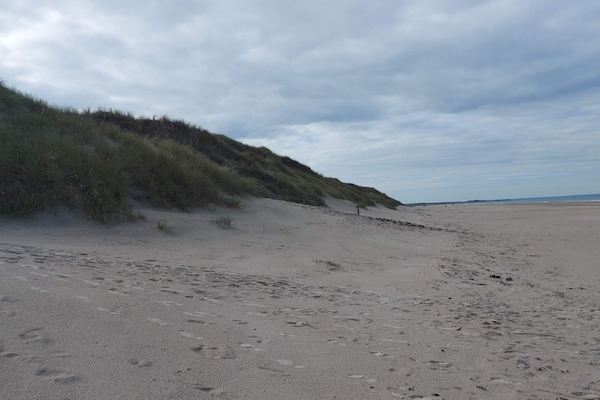 Foto van Luxe Duinen Toevluchtsoord-By Traum - Vakantiehuis in Pandrup - Untagged