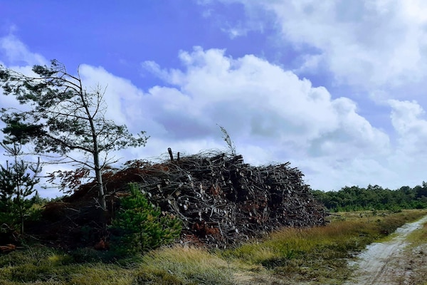 Foto van Gezellige Blokhut Toevluchtsoord-By Traum - Vakantiehuis in Oksbøl - Untagged