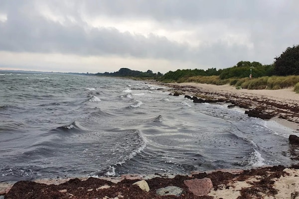 Foto van 12 persoons vakantie huis in Væggerløse - Vakantiehuis in Væggerløse - WaterView