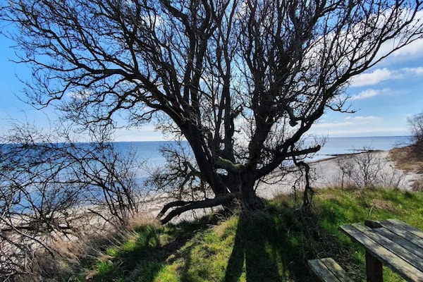 Foto van 12 persoons vakantie huis in Væggerløse - Vakantiehuis in Væggerløse - WaterView