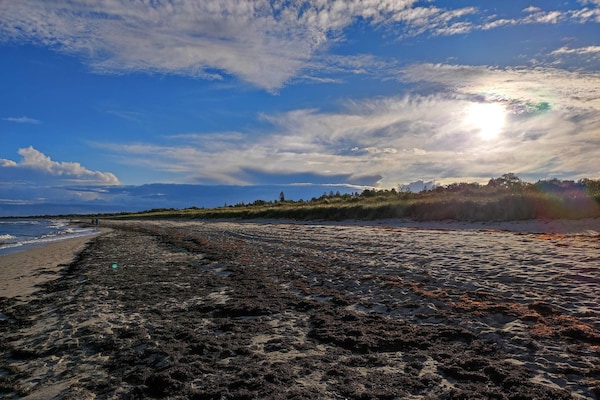 Foto van 16 persoons vakantie huis in Væggerløse - Vakantiehuis in Væggerløse - Untagged