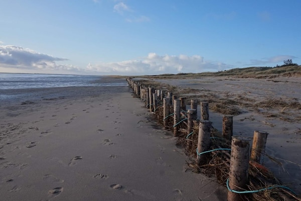 Foto van 12 persoons vakantie huis in Rømø - Vakantiehuis in Rømø - Untagged