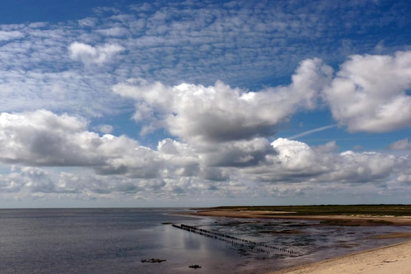 Foto van 12 persoons vakantie huis in Rømø - Vakantiehuis in Rømø - Untagged
