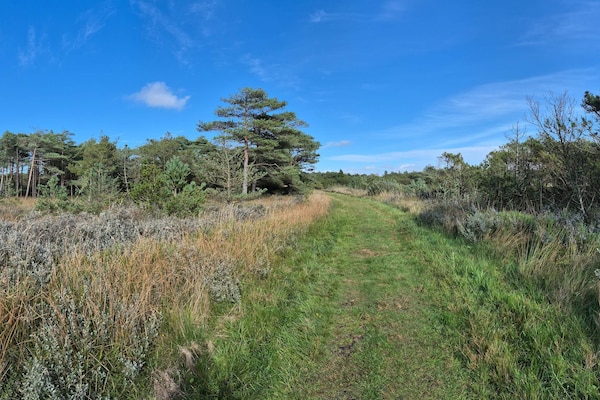 Foto van 12 persoons vakantie huis in Rømø - Vakantiehuis in Rømø - Untagged