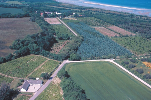 Foto van 14 persoons vakantie huis in Ørsted-By Traum - Vakantiehuis in Ørsted - View