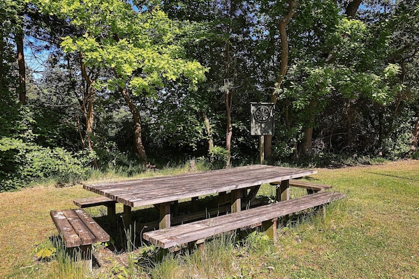 Foto van 12 persoons vakantie huis in Væggerløse-By Traum - View