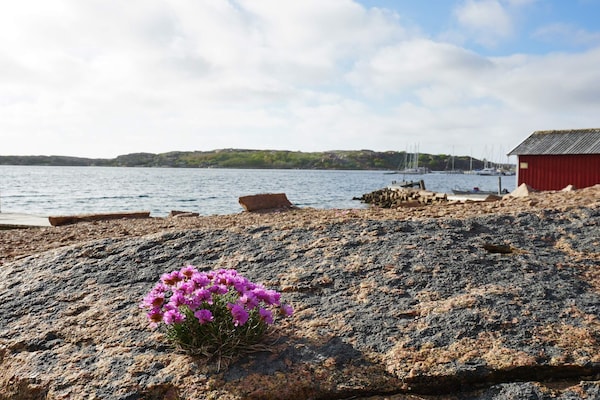 Foto van 4 persoons vakantie huis in Bovallstrand-By Traum - Vakantiehuis in Bovallstrand - View