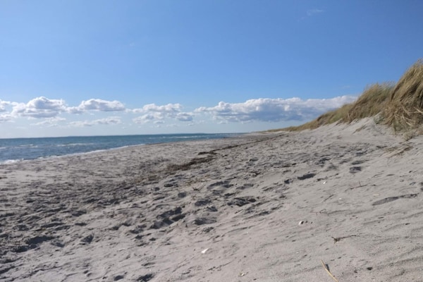 Foto van 12 persoons vakantie huis in Læsø-By Traum - Vakantiehuis in Læsø - WaterView