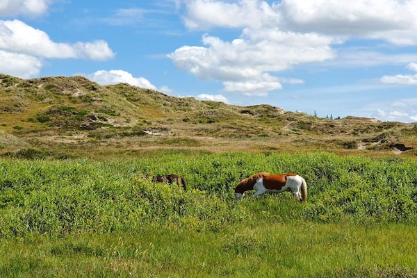 Foto van Een gezinsvriendelijke oase met zwembad. - Vakantiehuis in Henne - Untagged