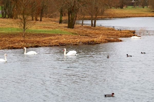 Foto van Vakantiehuis aan het water in Otterndorf - Vakantiehuis in Ottendorf - Untagged