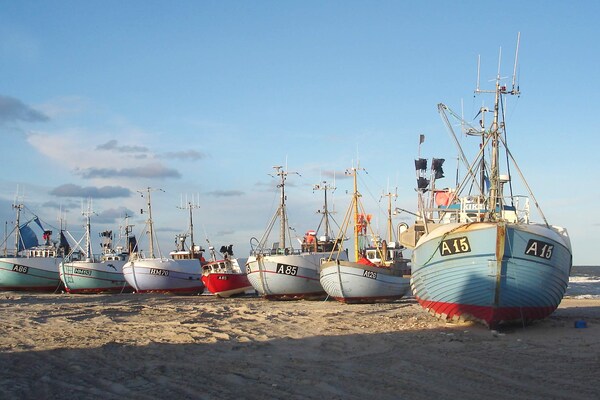Foto van Luxe vakantieverblijf met zwembad - Vakantiehuis in Fjerritslev - View