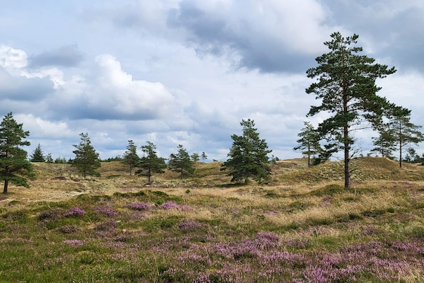 Foto van Luxe vakantieverblijf met zwembad - Vakantiehuis in Fjerritslev - Untagged