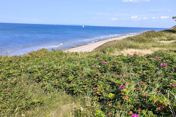 Foto van 10 persoons vakantie huis in Gilleleje-By Traum - Vakantiehuis in Gilleleje - WaterView