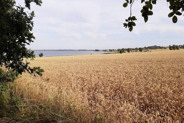 Foto van 3 persoons vakantie huis in Ærøskøbing-By Traum - Outdoor