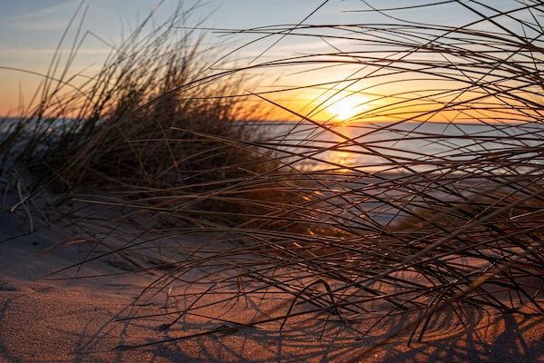 Foto van Luxe toevluchtsoord vlakbij het strand - Vakantiehuis in Blokhus - Untagged