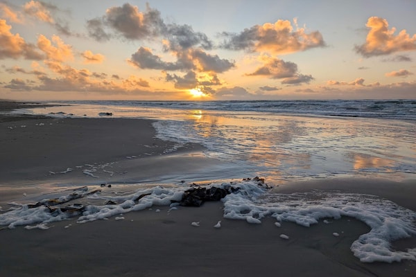 Foto van Luxe toevluchtsoord vlakbij het strand - Vakantiehuis in Blokhus - Untagged