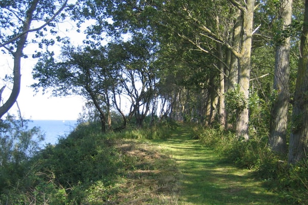 Foto van Unieke Fjord Retreat -- By Traum Ferienwohnungen - Vakantiehuis in Aabenraa - View