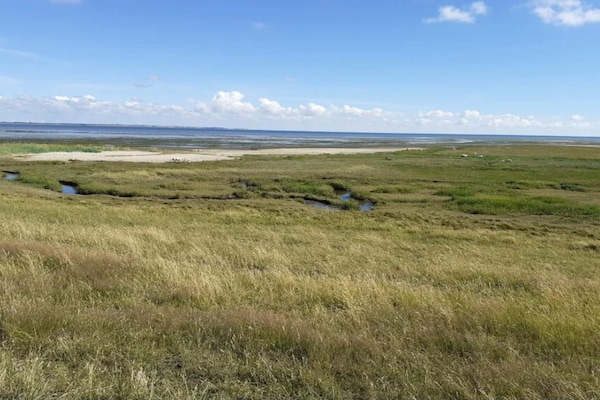 Foto van 18 persoons vakantie huis in Rømø-By Traum - Vakantiehuis in Rømø - Untagged