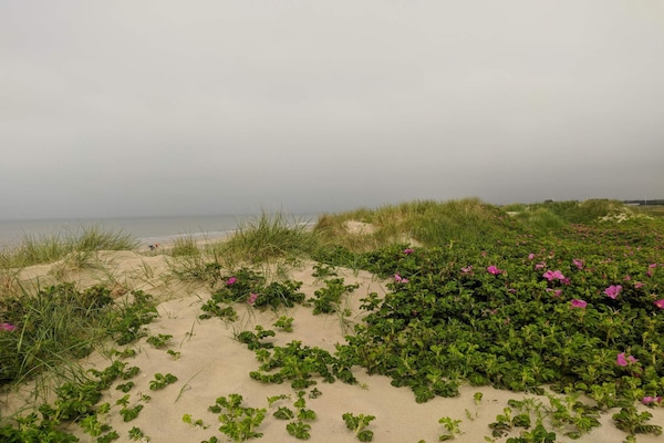 Foto van Luxe vakantieverblijf met zwembad - Vakantiehuis in Blåvand - Untagged