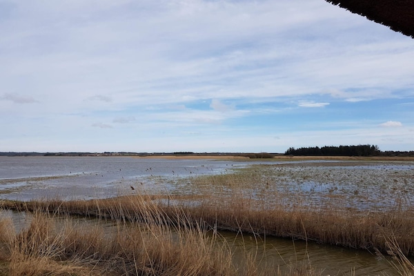 Foto van 10 persoons vakantie huis in Frøstrup-By Traum - Vakantiehuis in Frøstrup - WaterView