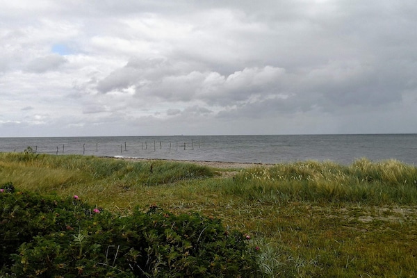 Foto van 10 persoons vakantie huis in Rudkøbing-By Traum - Vakantiehuis in Rudkøbing - WaterView