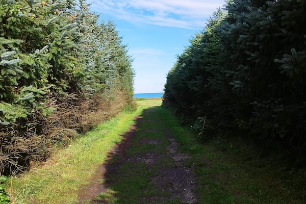 Foto van Afgelegen oase met zwembad - Vakantiehuis in Ålbæk - Untagged