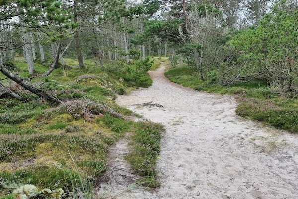 Foto van Afgelegen oase met zwembad - Vakantiehuis in Ålbæk - Untagged