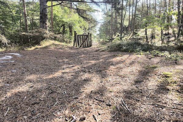 Foto van Afgelegen oase met zwembad - Vakantiehuis in Ålbæk - Untagged
