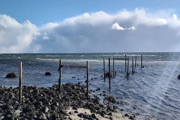 Foto van Luxe villa met zwembad aan zee - Vakantiehuis in Sydals - WaterView