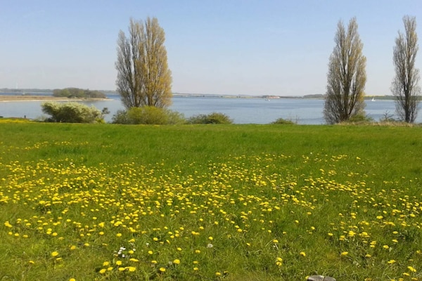 Foto van Luxe villa met zwembad aan zee - Vakantiehuis in Sydals - WaterView