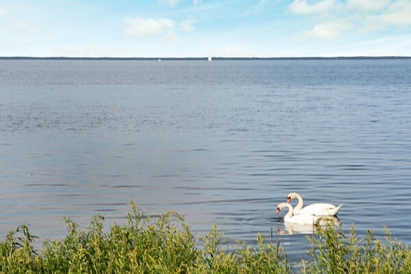 Foto van 10 persoons vakantie huis in Mörbylånga-By Traum - WaterView