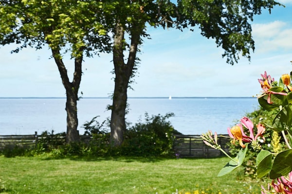 Foto van 10 persoons vakantie huis in Mörbylånga-By Traum - Outdoor