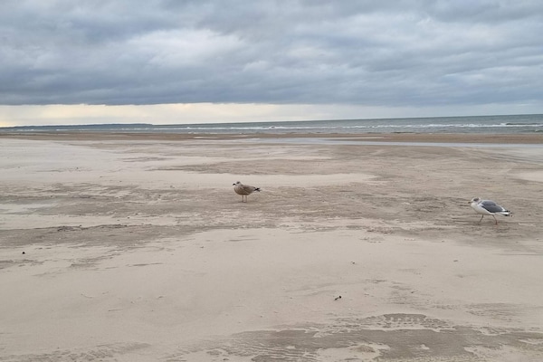 Foto van Luxe retraite met zwembad - Vakantiehuis in Løkken - WaterView