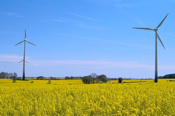Foto van 4 persoons vakantie huis in GROEMITZ - Vakantiehuis in GROEMITZ - View