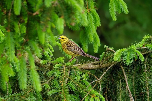 Foto van 4 persoons vakantie huis in Hovborg-By Traum - Vakantiehuis in Hovborg - WaterView