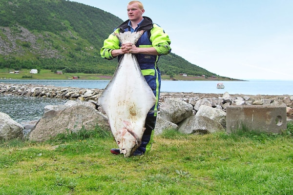 Foto van 10 persoons vakantie huis in Kaldfarnes-By Traum - Vakantiehuis in Kaldfarnes - Untagged