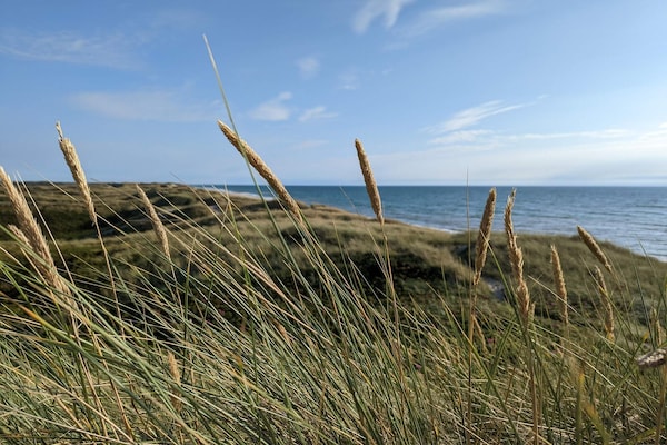 Foto van 10 persoons vakantie huis in Ulfborg-By Traum - Vakantiehuis in Ulfborg - WaterView
