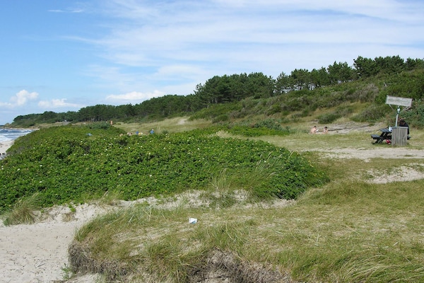 Foto van Modern cederhouten huisje vlak bij het strand - Vakantiehuis in Hasle - View