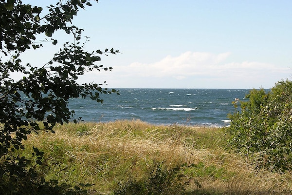 Foto van Modern cederhouten huisje vlak bij het strand - Vakantiehuis in Hasle - View