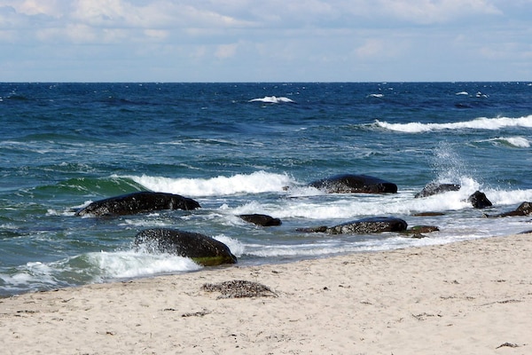 Foto van Modern cederhouten huisje vlak bij het strand - Vakantiehuis in Hasle - View