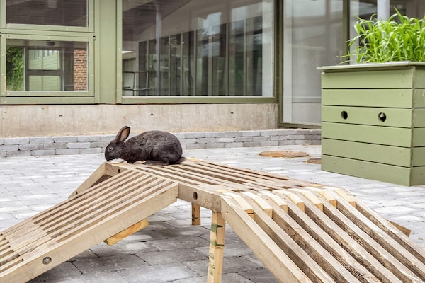 Foto van 1 persoons vakantie huis op een vakantie park in Hanstholm - Untagged