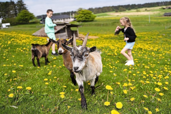 Foto van 1 persoons vakantie huis op een vakantie park in Hanstholm - Untagged